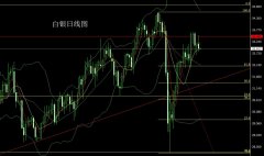 <strong>董镇元：反弹无力中阴线 金银逢高做空</strong>
